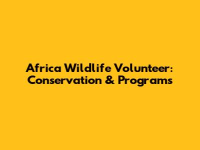 Africa Wildlife Volunteer: Conservation & Programs