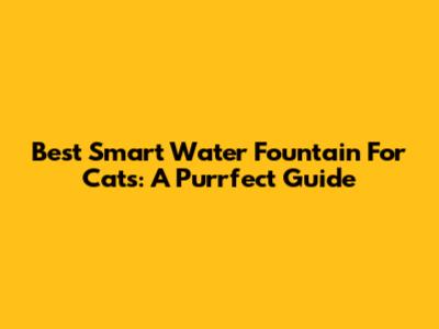 Best Smart Water Fountain For Cats: A Purrfect Guide