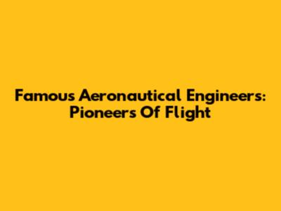 Famous Aeronautical Engineers: Pioneers Of Flight