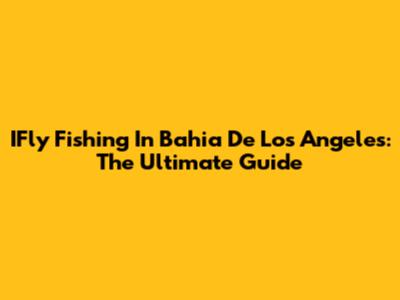 IFly Fishing In Bahia De Los Angeles: The Ultimate Guide