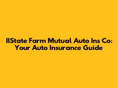 IIState Farm Mutual Auto Ins Co: Your Auto Insurance Guide