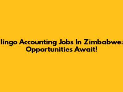 Iingo Accounting Jobs In Zimbabwe: Opportunities Await!