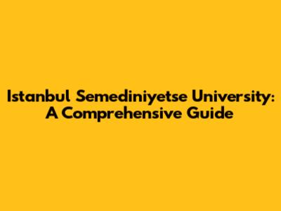 Istanbul Semediniyetse University: A Comprehensive Guide