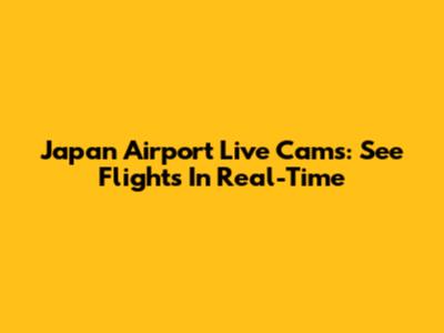 Japan Airport Live Cams: See Flights In Real-Time