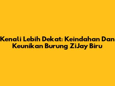 Kenali Lebih Dekat: Keindahan Dan Keunikan Burung ZiJay Biru