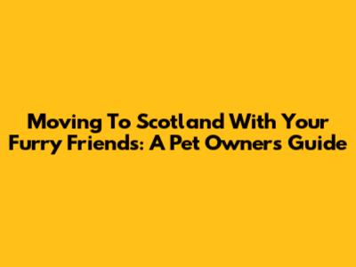 Moving To Scotland With Your Furry Friends: A Pet Owner's Guide