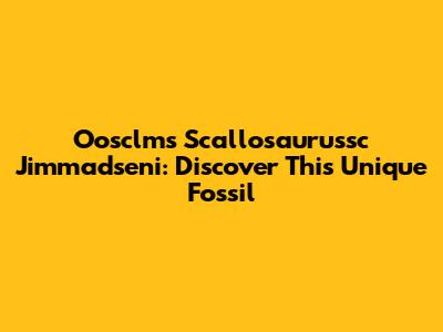 Oosclms Scallosaurussc Jimmadseni: Discover This Unique Fossil