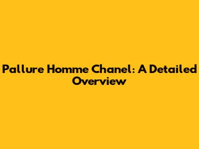 Pallure Homme Chanel: A Detailed Overview