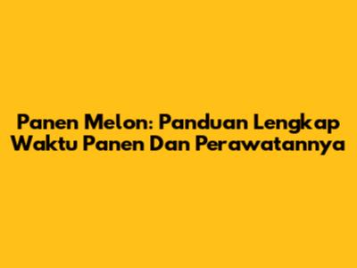 Panen Melon: Panduan Lengkap Waktu Panen Dan Perawatannya