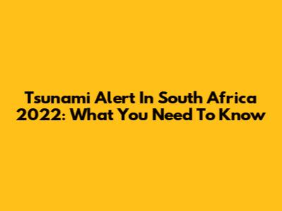 Tsunami Alert In South Africa 2022: What You Need To Know