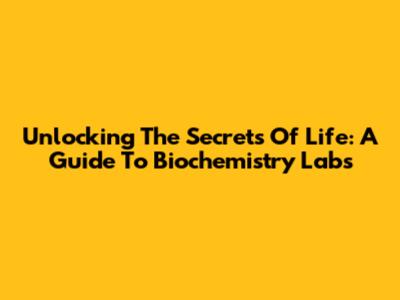 Unlocking The Secrets Of Life: A Guide To Biochemistry Labs