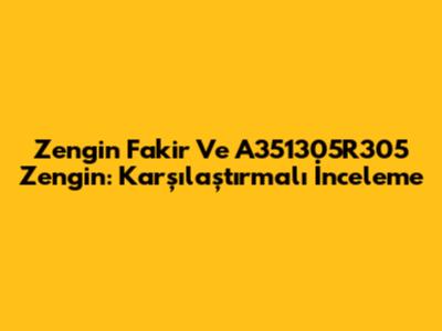 Zengin Fakir Ve A351305R305 Zengin: Karşılaştırmalı İnceleme